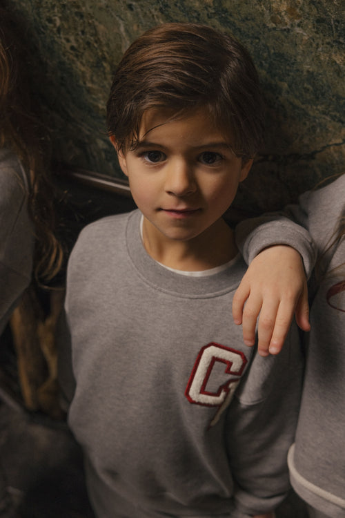 Charlie Petite | Jackson Sweater | Grey Melange