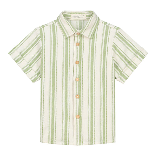 CHARLIE PETITE | BLOUSE IVAN GREEN STRIPE