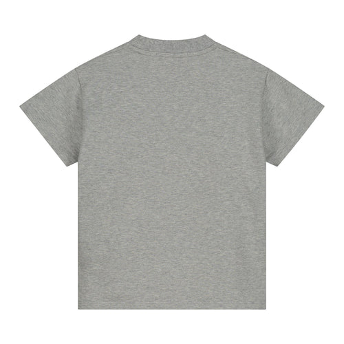 Charlie Petite | Jovi T-Shirt | Grey Melange