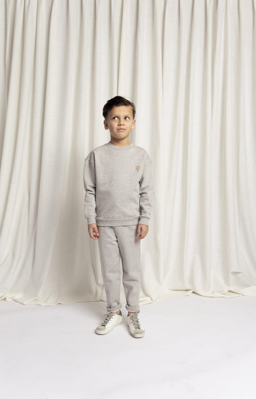 CHARLIE PETITE | SWEATER CAMILLE GREY MELEE