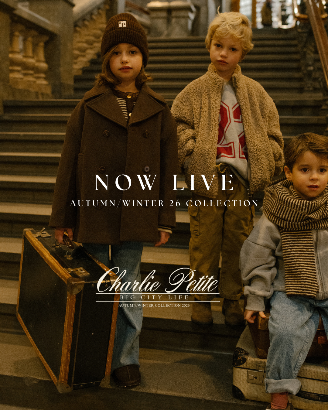 Intro Charlie Petite