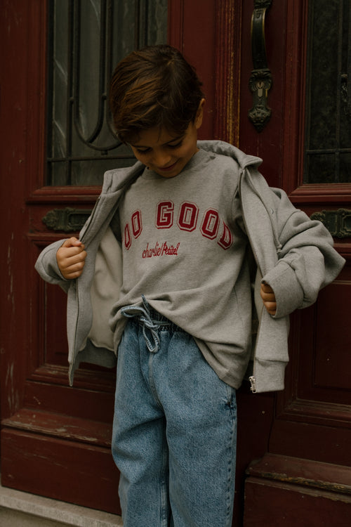 Charlie Petite | Jovi T- Shirt | Grey Melange