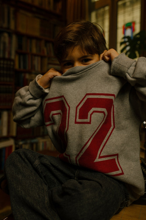 Charlie Petite | Jones Sweater | Grey Melange
