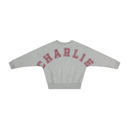 CHARLIE PETITE | Jones Sweater - Grey Melange