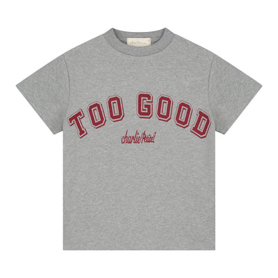 Charlie Petite | Jovi T- Shirt | Grey Melange