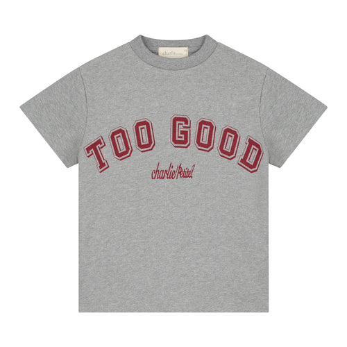 Charlie Petite | Jovi T- Shirt | Grey Melange