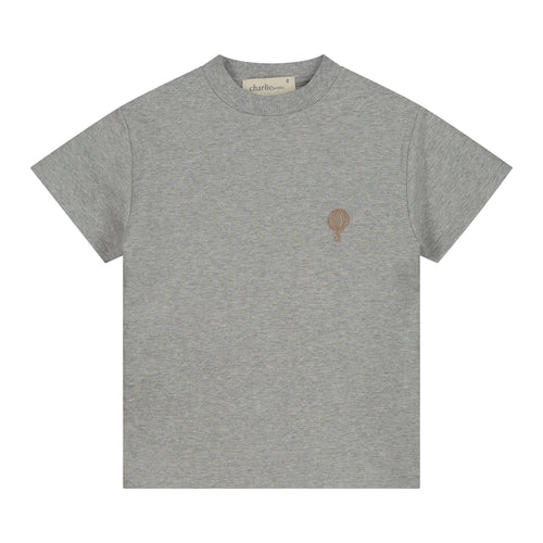 Charlie Petite | Jovi T-Shirt | Grey Melange