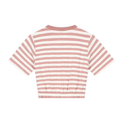 Charlie Petite | Lianne T-Shirt | Stripes Pink/Ecru