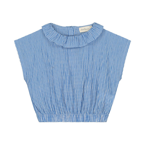 Charlie Petite | Paige Top | Blue/White Checks