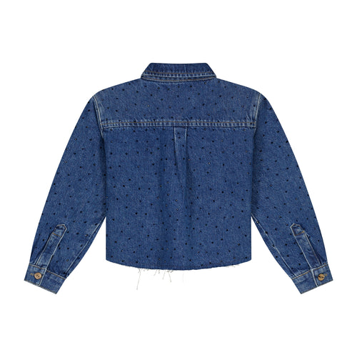 Charlie Petite | Sage Blouse | Medium Blue