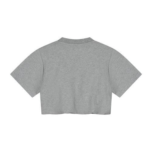 Charlie Petite | Sanne T-Shirt | Grey Melange