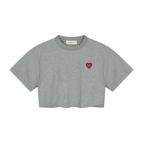 Charlie Petite | Sanne T-Shirt | Grey Melange