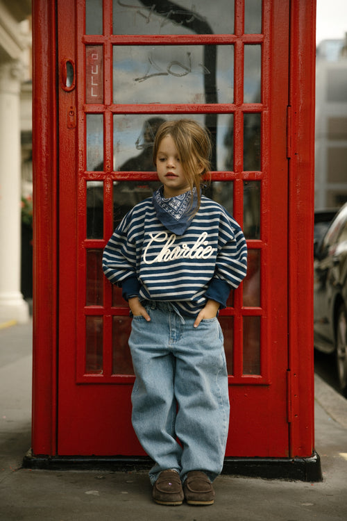 Charlie Petite | Su Longsleeve | Stripes Grey/Navy