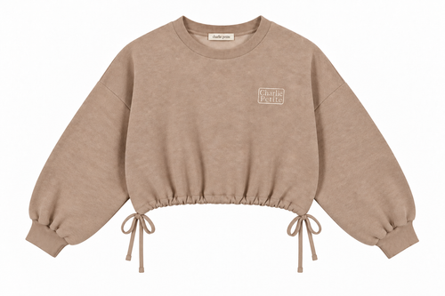 Charlie Petite | Sienna Sweater | Brown Melange