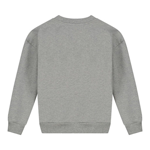 CHARLIE PETITE | SWEATER CAMILLE GREY MELEE
